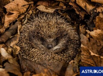 Διάβασε την προσωπική σου πρόβλεψη, για σήμερα 18/09/2025