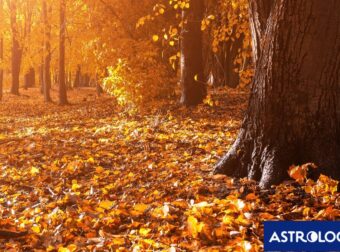Διάβασε την προσωπική σου πρόβλεψη, για σήμερα 23/09/2025