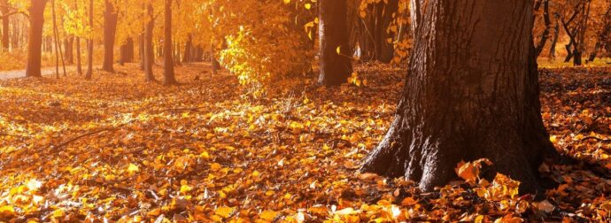 Διάβασε την προσωπική σου πρόβλεψη, για σήμερα 23/09/2025