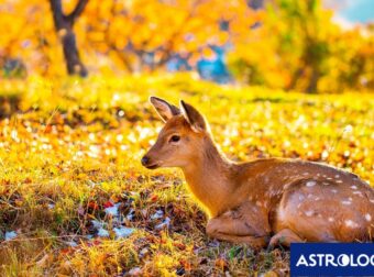 Διάβασε την προσωπική σου πρόβλεψη, για σήμερα 22/09/2025