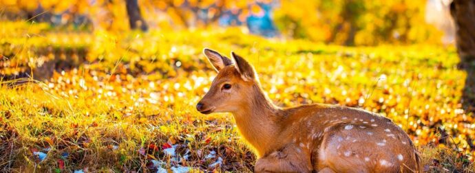Διάβασε την προσωπική σου πρόβλεψη, για σήμερα 22/09/2025