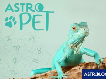 AstroPet από 30/09 έως 06/10: Εβδομαδιαίες προβλέψεις για το κατοικίδιό σου