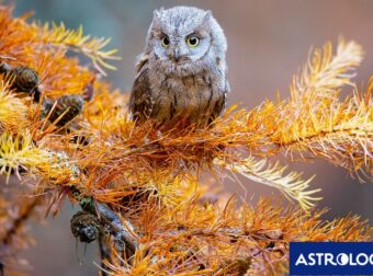Διάβασε την προσωπική σου πρόβλεψη, για σήμερα 26/09/2025