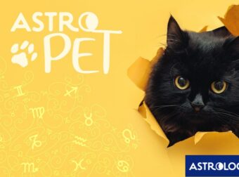 AstroPet από 07/10 έως 13/10: Εβδομαδιαίες προβλέψεις για το κατοικίδιό σου