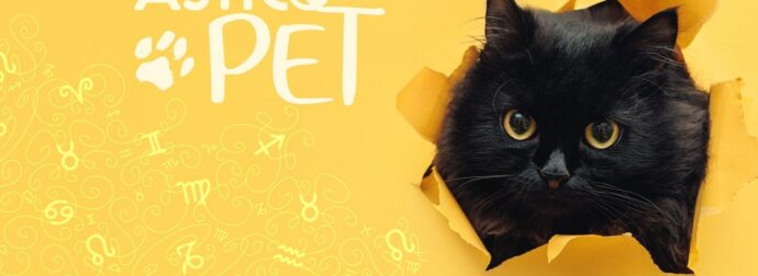 AstroPet από 07/10 έως 13/10: Εβδομαδιαίες προβλέψεις για το κατοικίδιό σου
