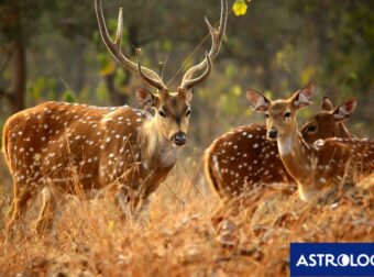 Διάβασε την προσωπική σου πρόβλεψη, για σήμερα 26/10/2025