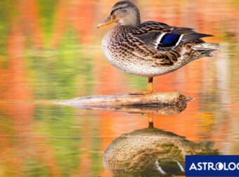 Διάβασε την προσωπική σου πρόβλεψη, για σήμερα 22/10/2025