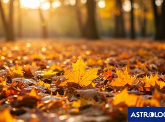 Διάβασε την προσωπική σου πρόβλεψη, για σήμερα 30/10/2025