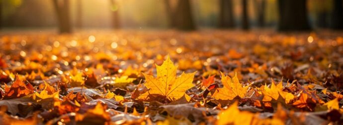 Διάβασε την προσωπική σου πρόβλεψη, για σήμερα 30/10/2025