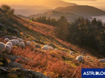 Διάβασε την προσωπική σου πρόβλεψη, για σήμερα 06/10/2025