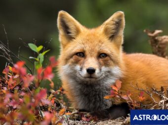 Διάβασε την προσωπική σου πρόβλεψη, για σήμερα 29/10/2025