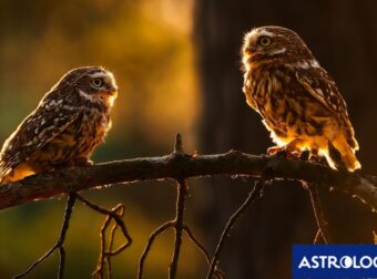 Διάβασε την προσωπική σου πρόβλεψη, για σήμερα 16/10/2025