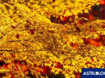 Διάβασε την προσωπική σου πρόβλεψη, για σήμερα 25/10/2025