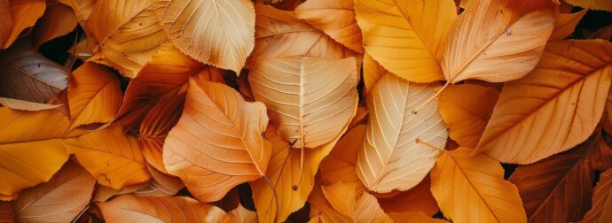 Διάβασε την προσωπική σου πρόβλεψη, για σήμερα 17/10/2025