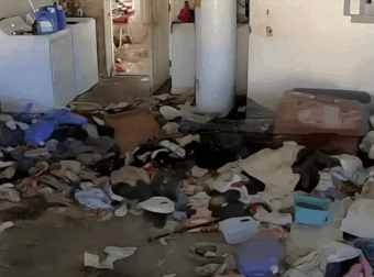 Βασιλιάδες της ακαταστασίας: Ποια είναι τα 3 πιο ανοργάνωτα ζώδια