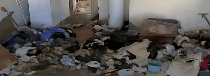 Βασιλιάδες της ακαταστασίας: Ποια είναι τα 3 πιο ανοργάνωτα ζώδια