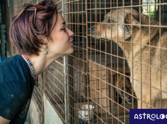 Τρία ζώδια που θα έκαναν εθελοντική εργασία για να ξεπεράσουν ένα χωρισμό