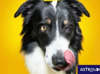 Αυτοί είναι οι μεγαλύτεροι κόλακες του ζωδιακού