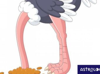 Οι τρεις… στρουθοκάμηλοι του ζωδιακού