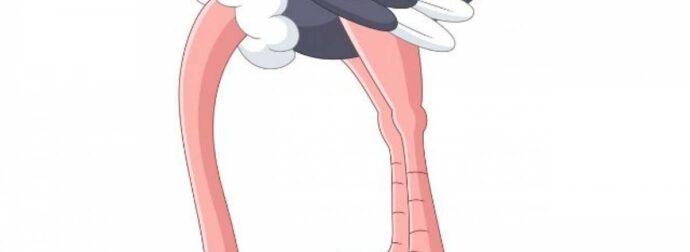 Οι τρεις… στρουθοκάμηλοι του ζωδιακού