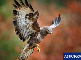 Διάβασε την προσωπική σου πρόβλεψη, για σήμερα 04/10/2025