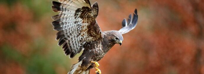 Διάβασε την προσωπική σου πρόβλεψη, για σήμερα 04/10/2025