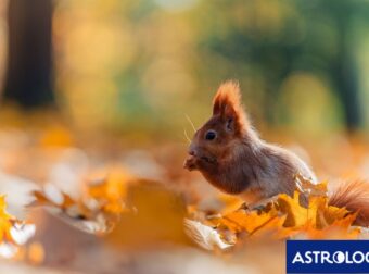 Διάβασε την προσωπική σου πρόβλεψη, για σήμερα 10/10/2025
