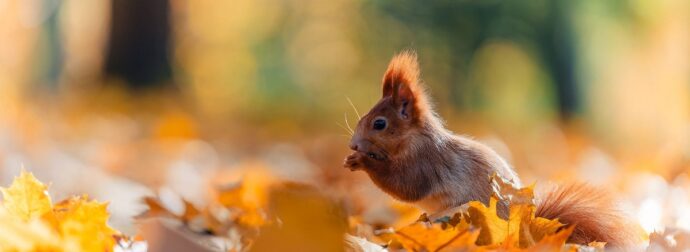 Διάβασε την προσωπική σου πρόβλεψη, για σήμερα 10/10/2025