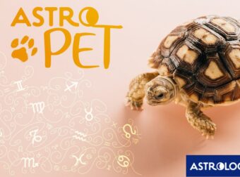 AstroPet από 21/10 έως 27/10: Εβδομαδιαίες προβλέψεις για το κατοικίδιό σου