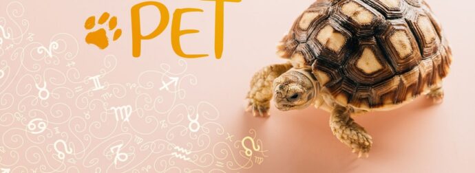 AstroPet από 21/10 έως 27/10: Εβδομαδιαίες προβλέψεις για το κατοικίδιό σου