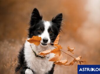 Διάβασε την προσωπική σου πρόβλεψη, για σήμερα 14/10/2025