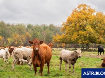 Διάβασε την προσωπική σου πρόβλεψη, για σήμερα 20/10/2025
