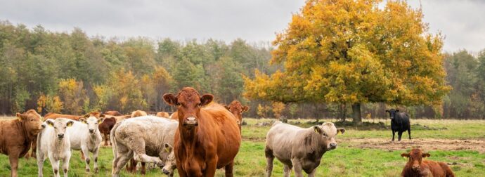 Διάβασε την προσωπική σου πρόβλεψη, για σήμερα 20/10/2025