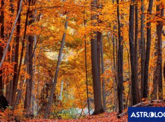 Διάβασε την προσωπική σου πρόβλεψη, για σήμερα 28/10/2025