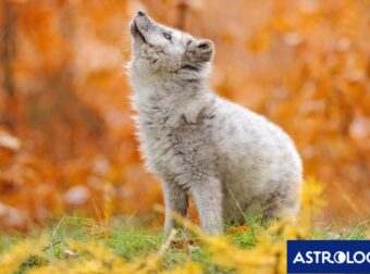 Διάβασε την προσωπική σου πρόβλεψη, για σήμερα 24/10/2025