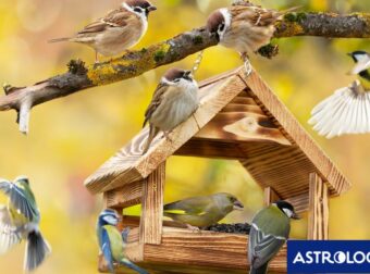 Διάβασε την προσωπική σου πρόβλεψη, για σήμερα 08/10/2025