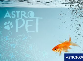 AstroPet από 14/10 έως 20/10: Εβδομαδιαίες προβλέψεις για το κατοικίδιό σου