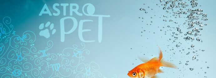 AstroPet από 14/10 έως 20/10: Εβδομαδιαίες προβλέψεις για το κατοικίδιό σου