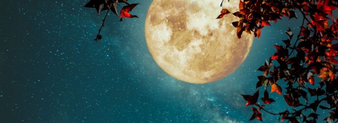 Δες τον δρόμο που σου δείχνει το Φεγγάρι από 01/11 έως 15/11