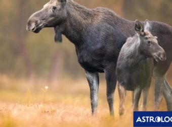 Διάβασε την προσωπική σου πρόβλεψη, για σήμερα 12/10/2025