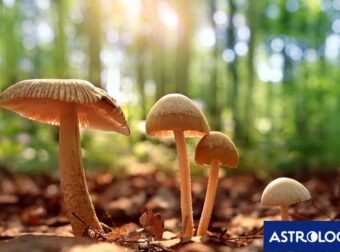 Διάβασε την προσωπική σου πρόβλεψη, για σήμερα 09/10/2025