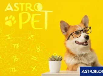 AstroPet από 28/10 έως 03/11: Εβδομαδιαίες προβλέψεις για το κατοικίδιό σου