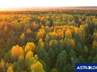 Διάβασε την προσωπική σου πρόβλεψη, για σήμερα 15/10/2025