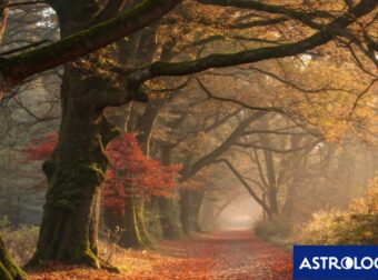 Διάβασε την προσωπική σου πρόβλεψη, για σήμερα 30/11/2025