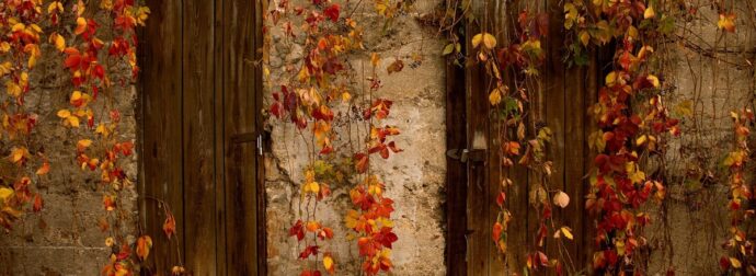 Διάβασε την προσωπική σου πρόβλεψη, για σήμερα 23/11/2025