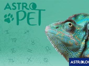 AstroPet από 11/11 έως 17/11: Εβδομαδιαίες προβλέψεις για το κατοικίδιό σου