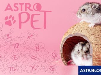 AstroPet από 18/11 έως 24/11: Εβδομαδιαίες προβλέψεις για το κατοικίδιό σου