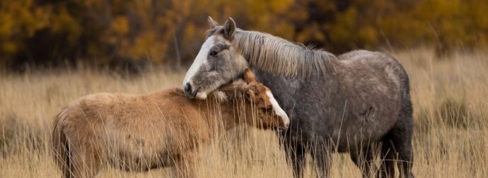 Διάβασε την προσωπική σου πρόβλεψη, για σήμερα 04/11/2025