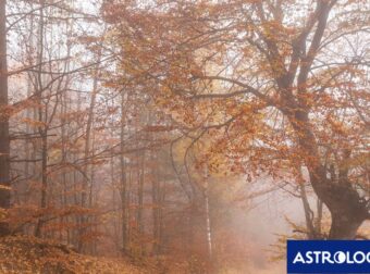 Διάβασε την προσωπική σου πρόβλεψη, για σήμερα 13/11/2025
