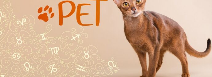 AstroPet από 25/11 έως 01/12: Εβδομαδιαίες προβλέψεις για το κατοικίδιό σου